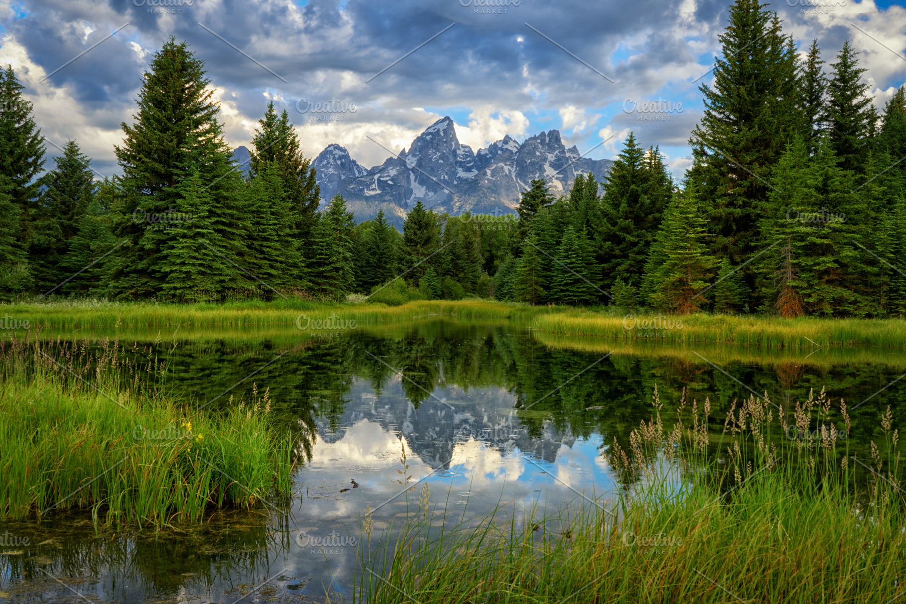 Mountain Valley Beaver Pond, a Nature Photo by The Native Lens