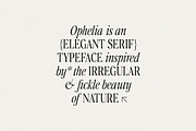 Ophelia - Modern Serif Font, a Serif Font by The Peach Shop (Thumbnail 4 of 16)