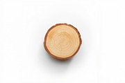 Rustic Wood Slice Vector Clipart Set, an Illustration by BIPLOB EXPERT (Thumbnail 3 of 13)