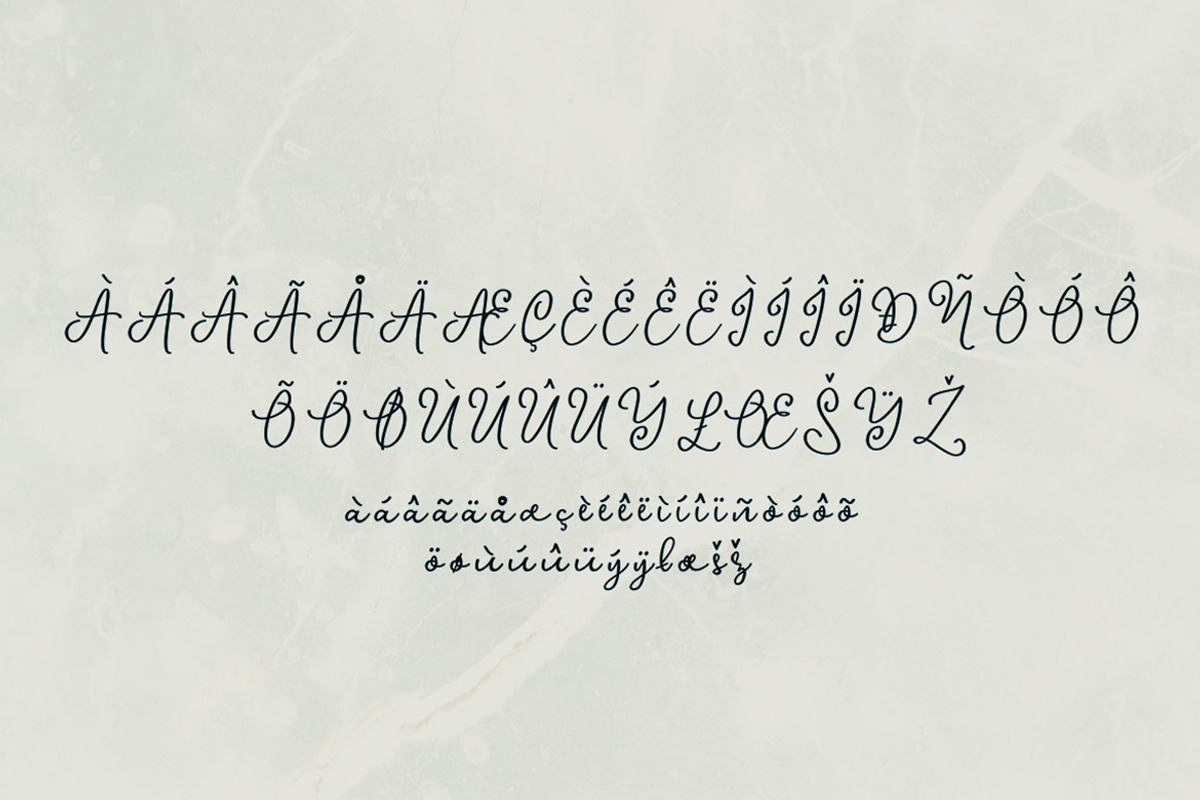 Avelane Script Font preview 6