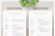 Modern 2 Page Resume Template, a Resume Template by DemeDesign (Thumbnail 2 of 5)