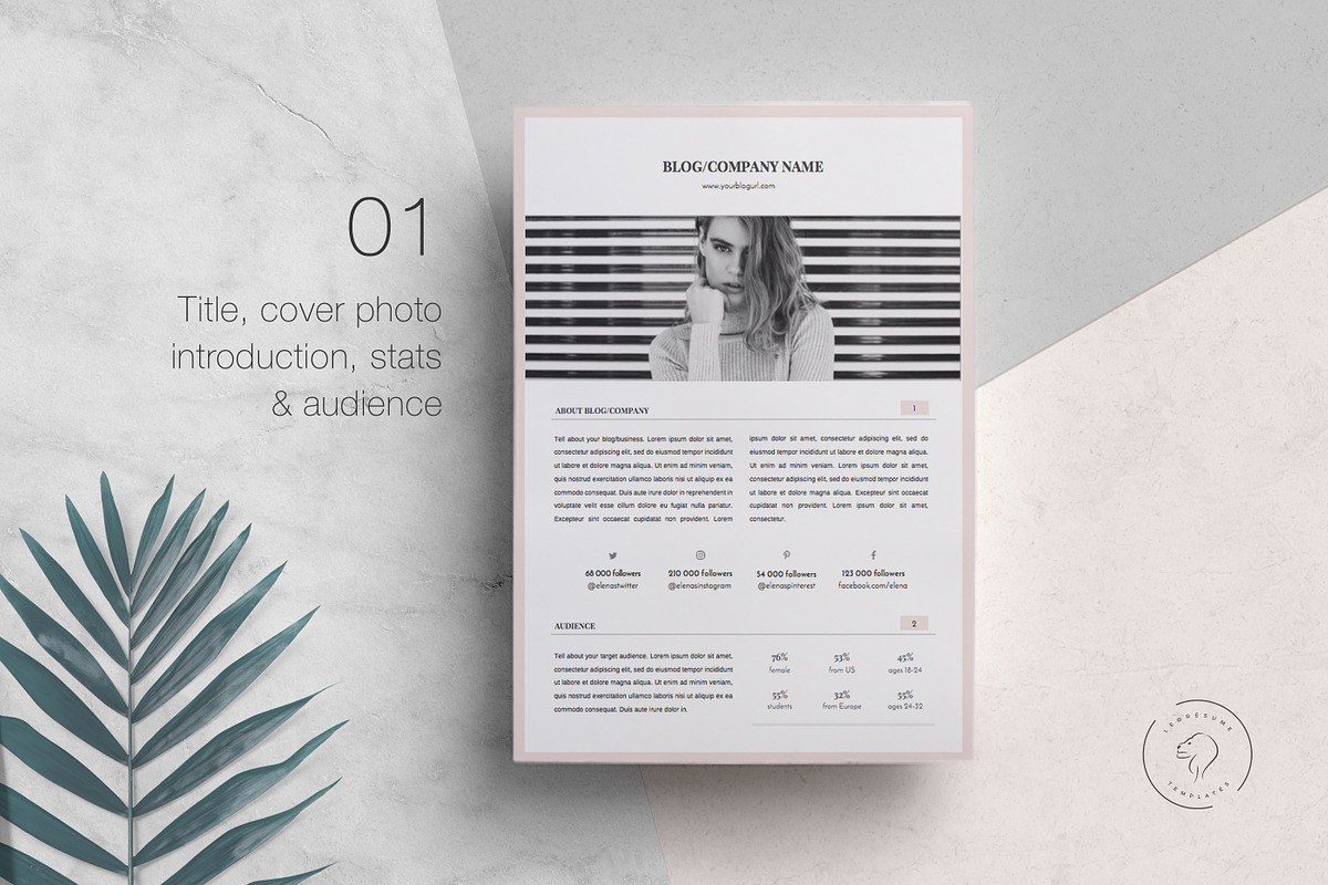 Media Kit Template - 3 Pages, a Resume Template by Leo Resume (Photo 2 of 6)