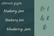Saveria Handwritten Script Font, a Font by Evoke Type Studio (Thumbnail 8 of 15)