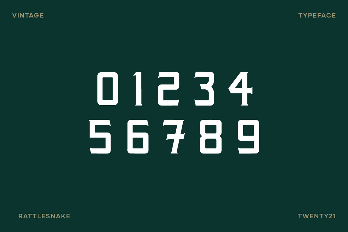 Rattlesnake - Vintage Serif Font, a Serif Font by Creative Type (Photo 10 of 13)