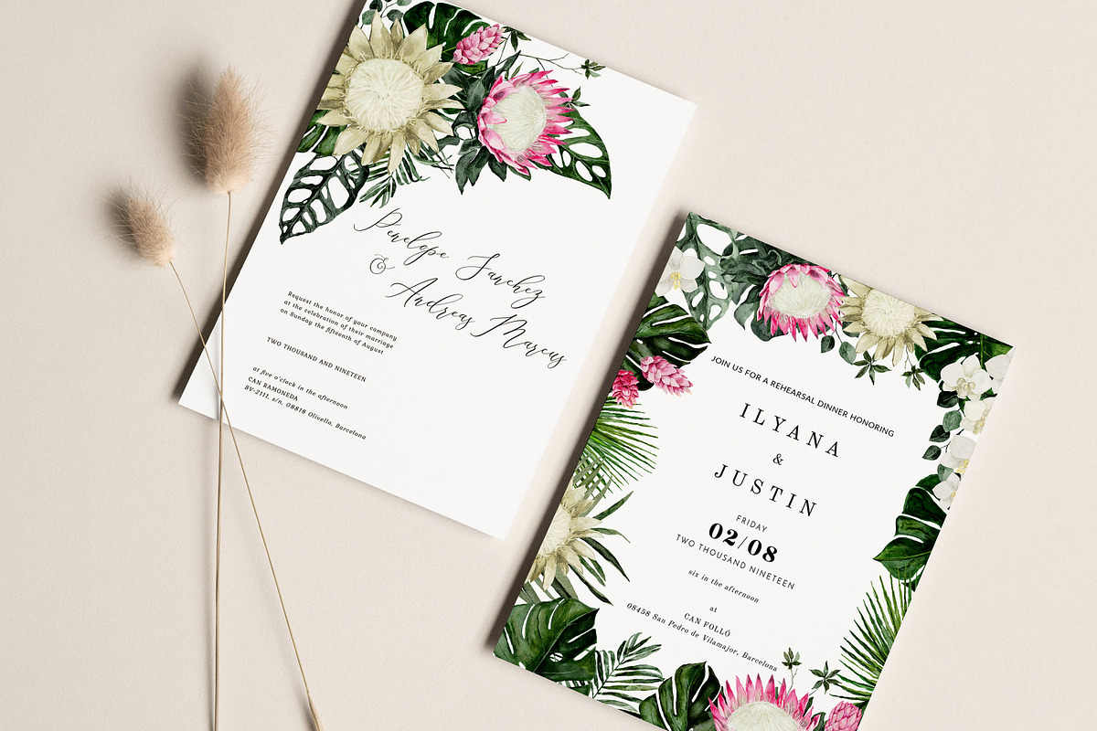 Protea - tropical collection, a Texture Illustration by Backyard Rose (Photo 19 of 22)