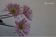 Love Lace Photoshop Action, an Action Add-On by The Roark Division (Thumbnail 5 of 5)