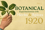 The Elixir, a Serif Font by Misprinted Type (Thumbnail 2 of 4)