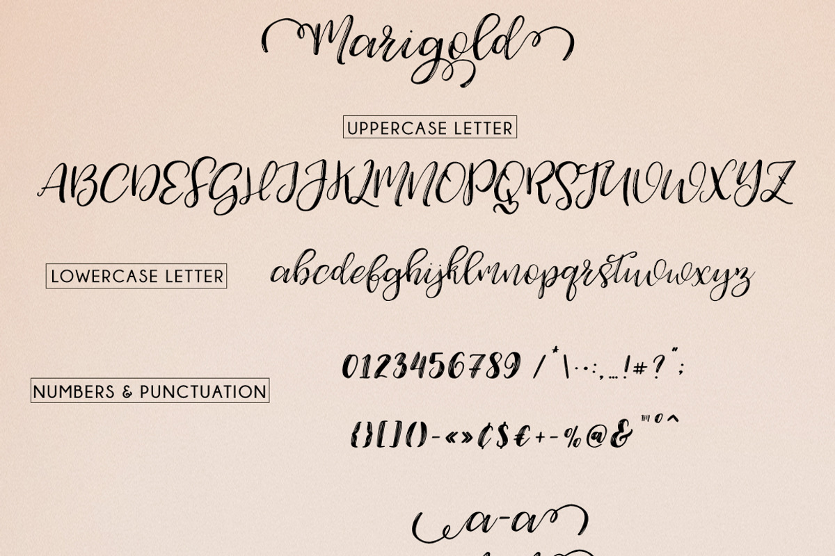Marigold preview 8