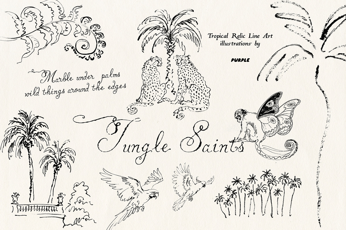 Jungle Saints: Tropical Line Art, an Object Illustration by Purple (Photo 1 of 15)