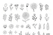 50+ Florals, a Decorative Illustration by Redchocolate (Thumbnail 2 of 6)