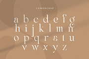 Life Sugar - Unique Serif Font, a Serif Font by Sensatype (Thumbnail 12 of 16)