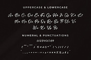 Neckaratt, a Script Font by Integritype Studio (Thumbnail 9 of 15)