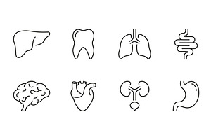 Internal Organs Icons, an Object Illustration by Gentle Studio