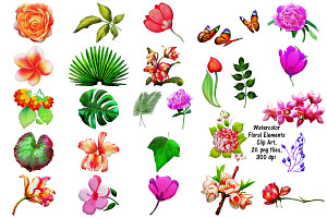 Watercolor Floral Elements Clip Art