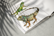 Watercolor Iguanas Clip Art, an Animal Illustration by Tati Bordiu (Thumbnail 2 of 4)