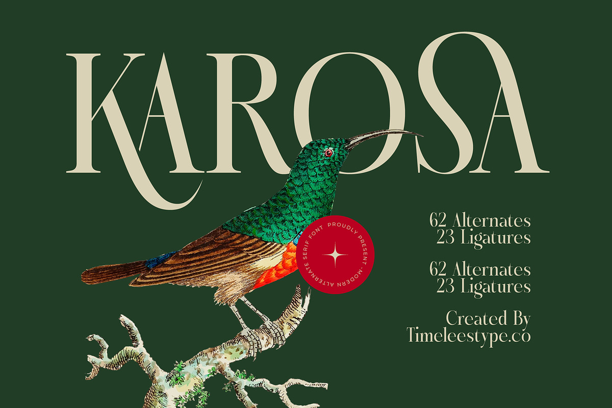 Karosa Modern Serif Display Font, a Serif Font by timelesstype.co (Photo 1 of 20)