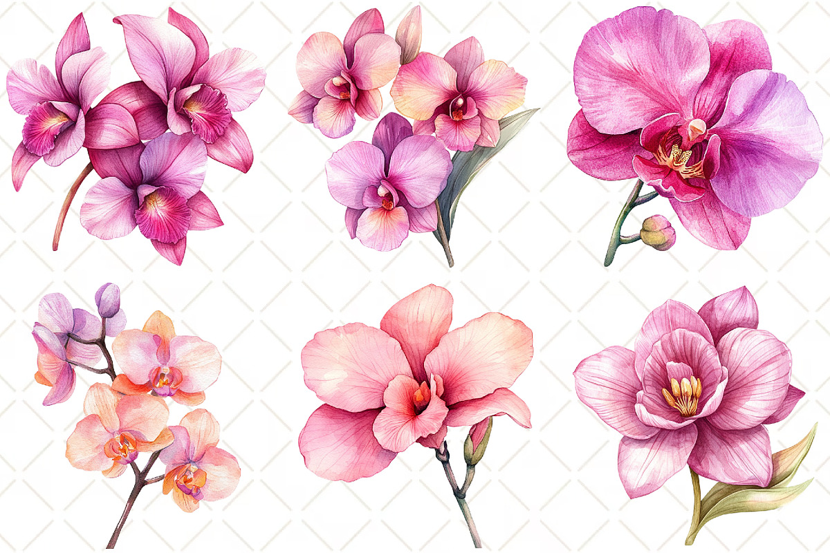 Watercolor Pink Orchid Clipart, an Illustration by Black Bird Studio (Photo 5 of 5)