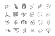 Human internal organs, an Outline Icon by Tettygreen (Thumbnail 2 of 2)