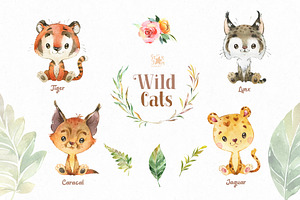 Wild Cats. Watercolor Collection