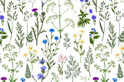 Wild herbs. Wildflowers pattern, a Pattern Graphic by irina.vaneeva (Thumbnail 4 of 6)