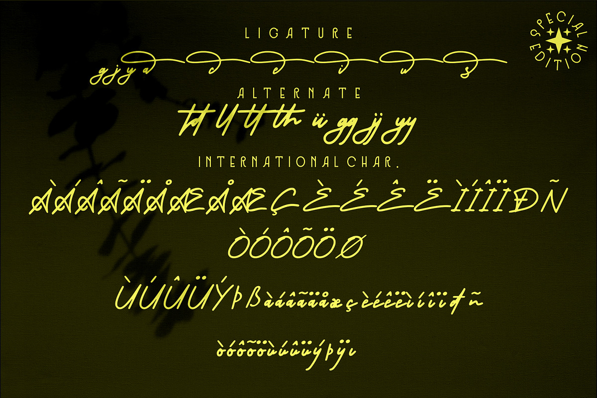 little theory - Script style font, a Script Font by mahstudios (Photo 7 of 8)
