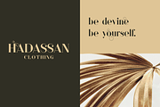 Sonder Serif Typeface - 5 weights, a Serif Font by VP Fonts (Thumbnail 6 of 9)