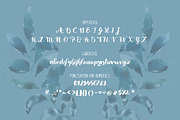 Aquila -Script font, a Script Font by Charushella (Thumbnail 2 of 2)