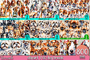 watercolor dog breeds bundle, an Animal Illustration by TanuschArts (Thumbnail 7 of 7)