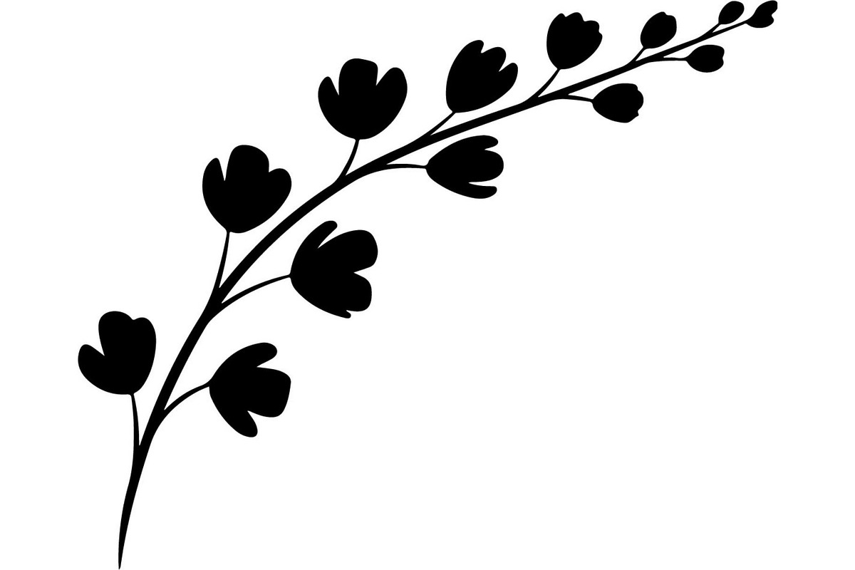Botanical Floral Border, an Object Graphic by Creativeshirt (Photo 15 of 20)
