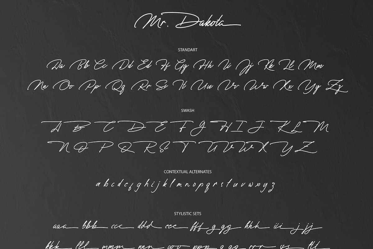 Mr. Dakota preview 7