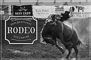 el Cabestor - Vintage Display+Extra, a Serif Font by Dm Studio (Thumbnail 6 of 6)