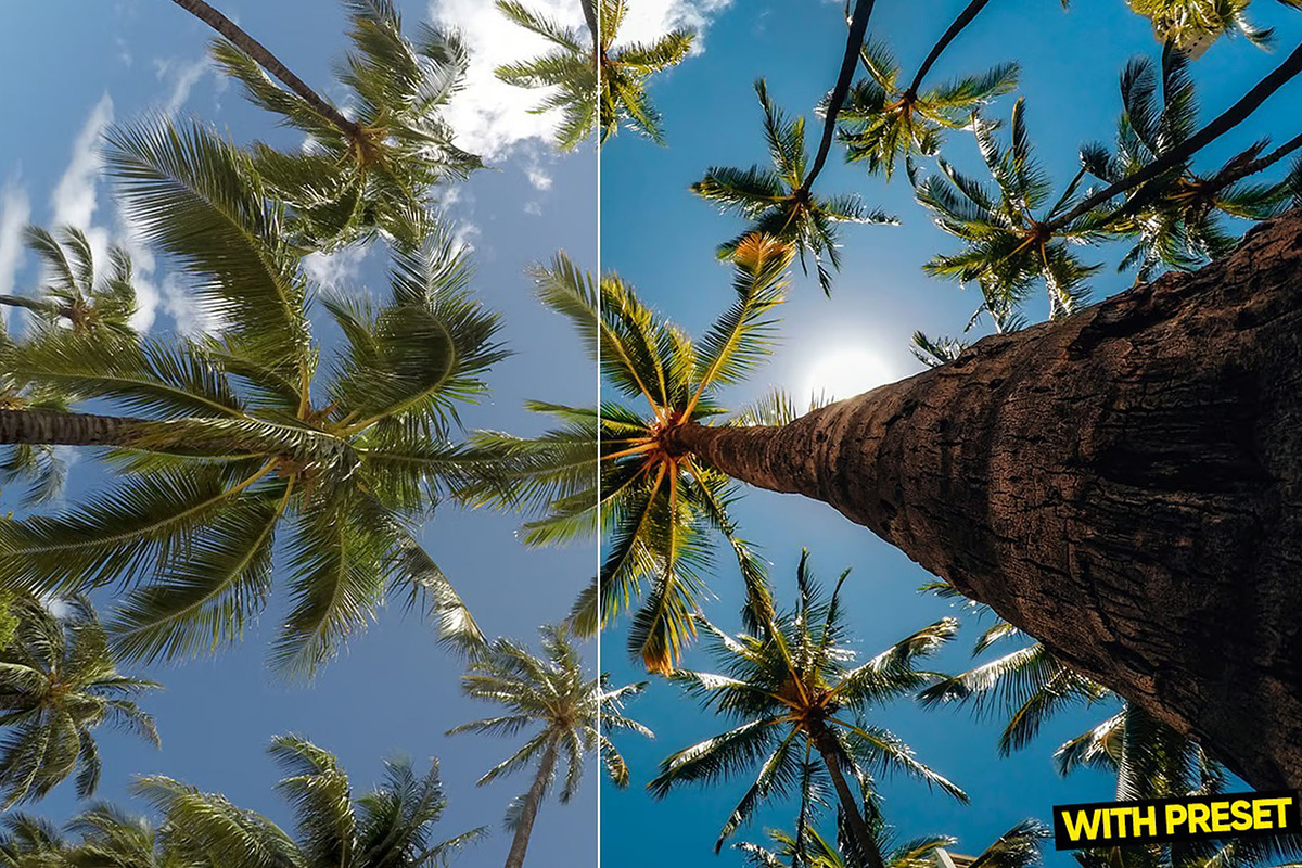 Tropical Presets for Lightroom, a Preset Add-On by Hubzway (Photo 5 of 5)