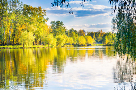 Lake in autumn fall park, a Nature Photo by Vapi