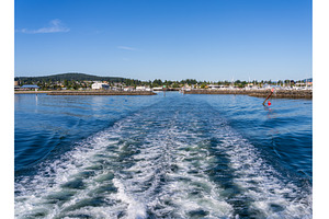 Whale watching tour departing from, a Nature Photo by Backyard Stock