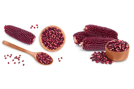 Purple corn or maize seeds in wooden, a Food & Drink Photo by NataPhoto