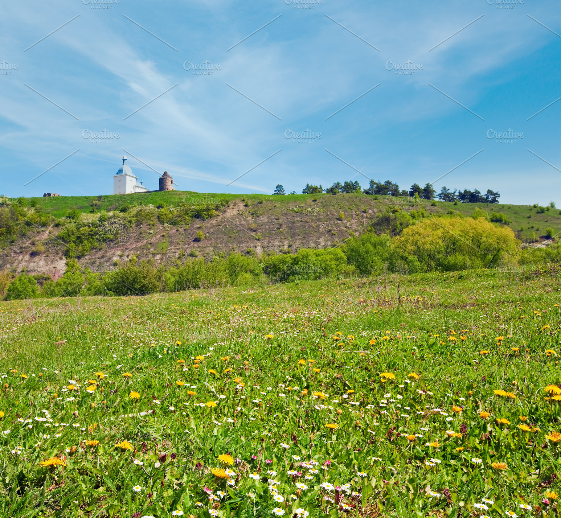 Spring blossoming field and ancient fotess and church behind, a Nature Photo by YuriyB