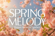 Spring Melody - Humanist Typeface, a Sans Serif Font by HipFonts (Thumbnail 1 of 7)