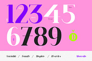 Moresby, a Serif Font by Damelev (Thumbnail 10 of 15)