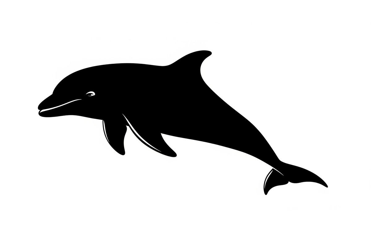Dolphin Jumping Silhouette Vector, an Illustration by Designs_River (Photo 25 of 51)