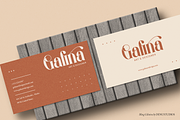 Bling Gilinira | Display Serif Font, a Serif Font by Denustudios (Thumbnail 11 of 15)