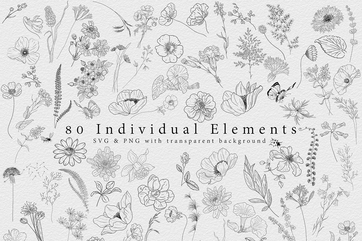 Wildflowers Line Art Collection, a Decorative Illustration by AW Studios (Photo 2 of 5)