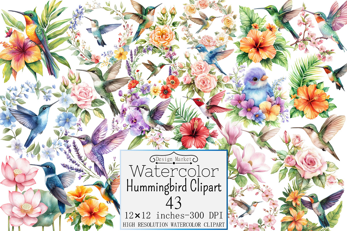 Watercolor Hummingbird Clipart, a Seasonal Illustration by Design Market (Photo 1 of 5)