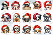 Playful Peeking Dog Breeds Clipart, an Illustration by designcity5 (Thumbnail 3 of 5)