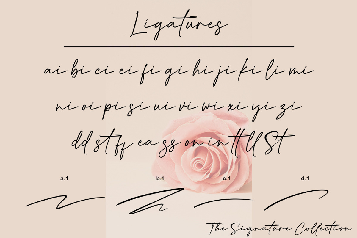 Catherine, a Script Font by Slex Studio (Photo 10 of 12)