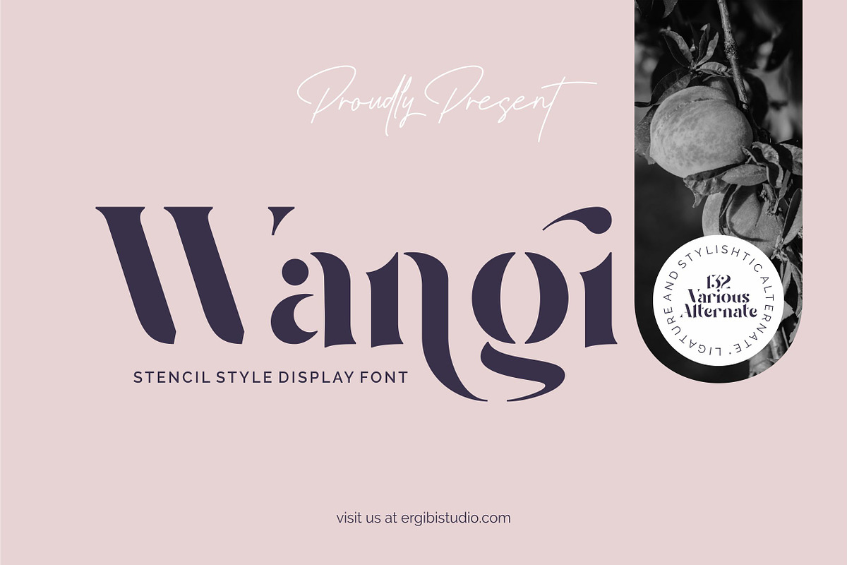 Wangi - Stencil Style, a Sans Serif Font by ErgibiStudio (Photo 1 of 12)