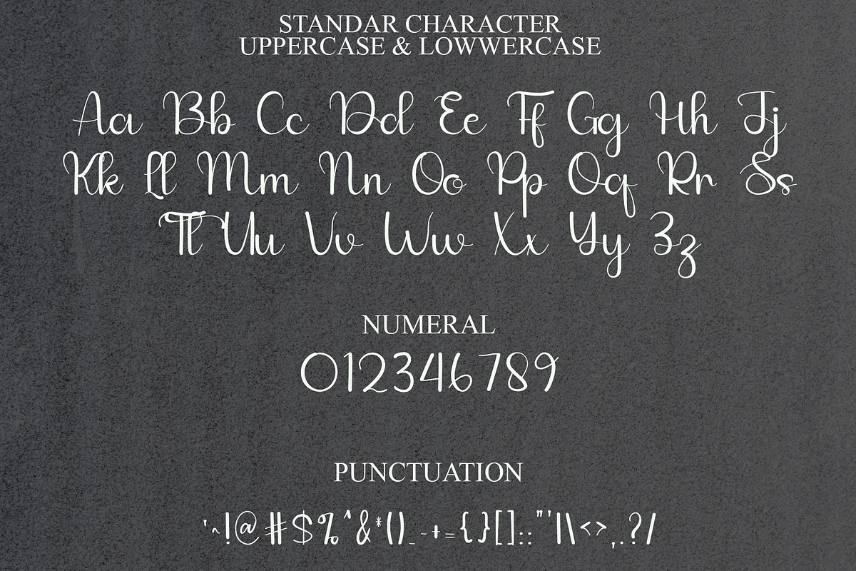 01 Frenchie, a Handwritten Font by FreshTypeINK (Photo 9 of 9)
