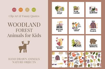 Woodland Forest Animals for Kids