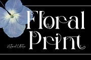 Historical Collective Font, a Serif Font by 177Studio (Thumbnail 6 of 8)
