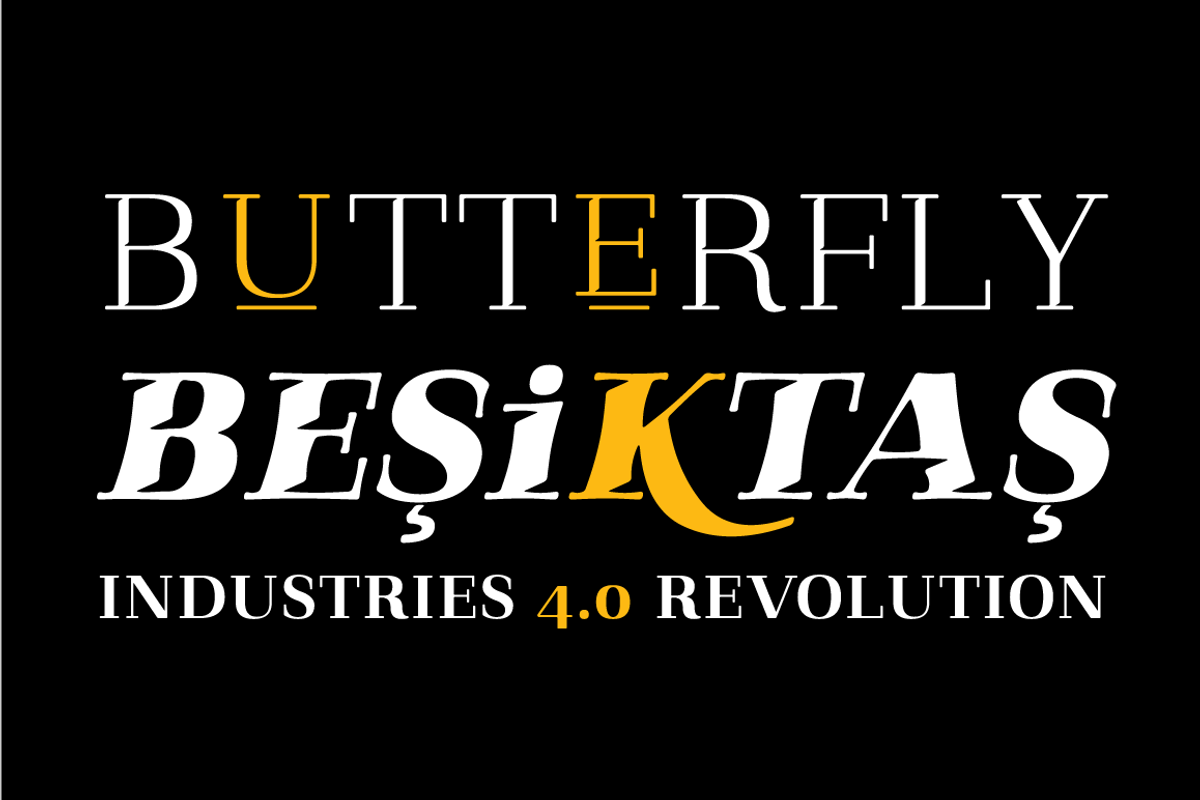 Qualitype Variable Family, a Serif Font by BULENT YUKSEL (Photo 10 of 14)