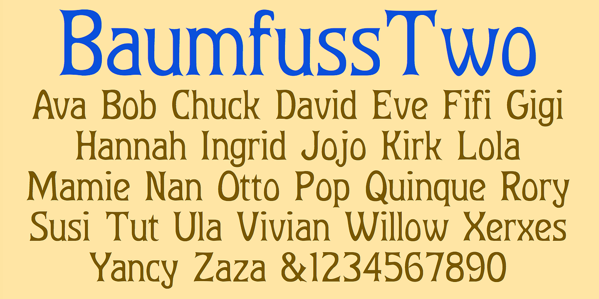 Baumfuss, a Serif Font by Ingrimayne Type (Photo 5 of 7)